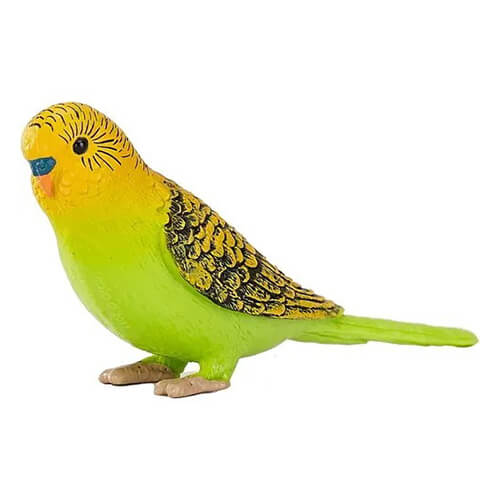 387262 mojo【セキセイインコ（グリーン）】