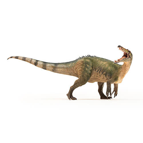 55101 Papo【スコミムス】 NEW