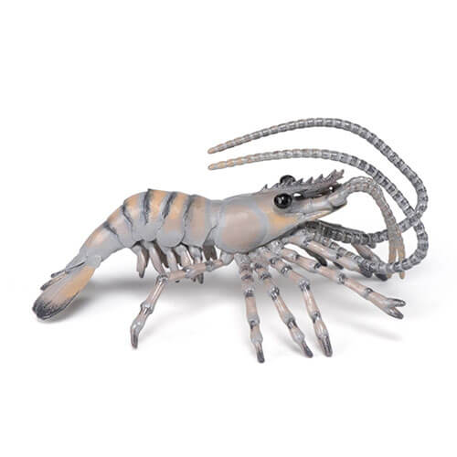 56053 Papo【エビ】