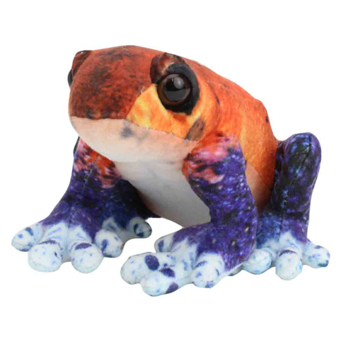 SA018【ワイルドグラフィー イチゴヤドクガエル】