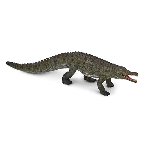 80061 Collecta【コロッサスサウルス・テクニエンシス（1:40）】NEW