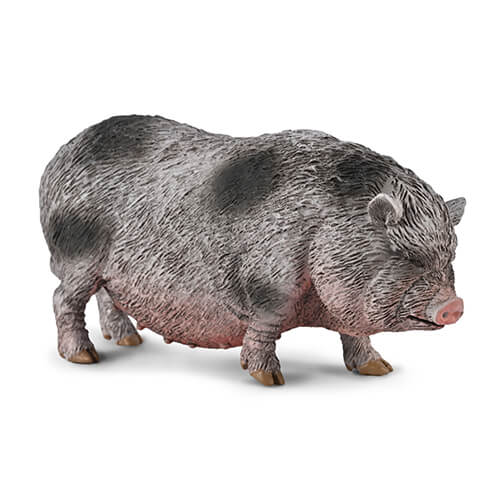 ブタ