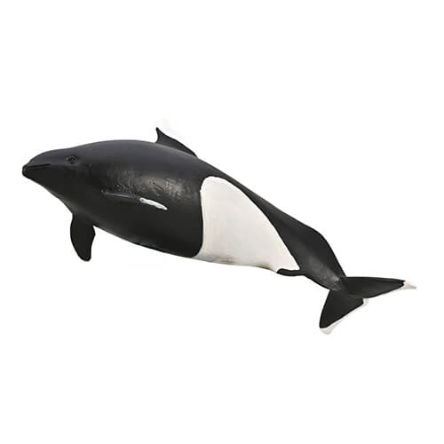 80068　Collecta【イシイルカ】NEW