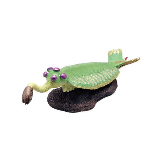 938356 Favorite【ミニモデル　オパビニア】FP-202