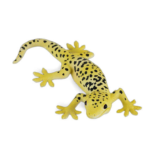 381077 mojo【ヒョウモントガケモドキ】