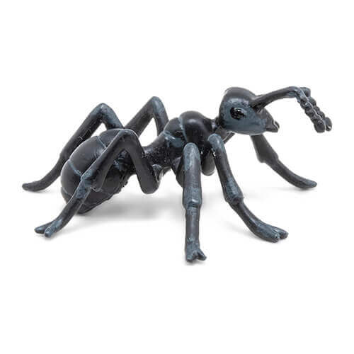 50267 Papo【アリ】NEW