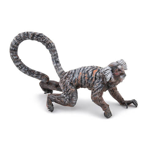 50313 Papo【コモンマーモセット】NEW