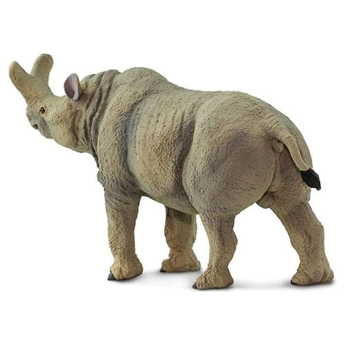 100084 Safari【メガセロプス】