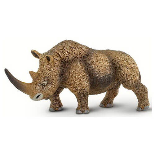 100089 Safari【ケブカサイ】