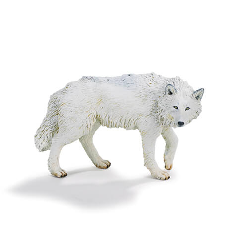 220029 Safari【ホワイトウルフ】