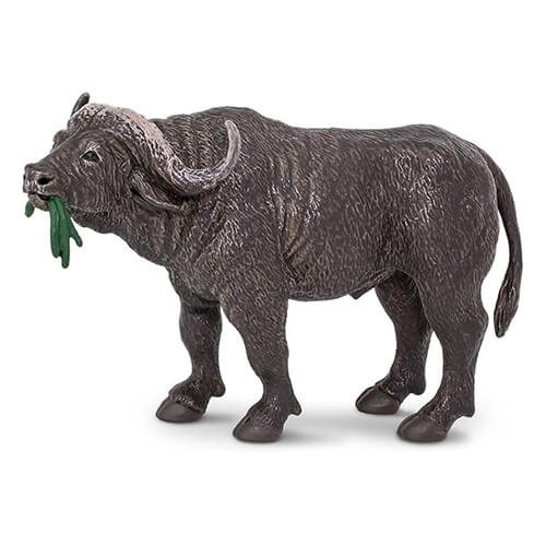 222729 Safari【ケープバッファロー】