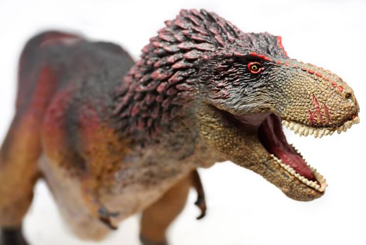 ティラノサウルスの恐竜フィギュア特集 動物 恐竜フィギュアのzooo