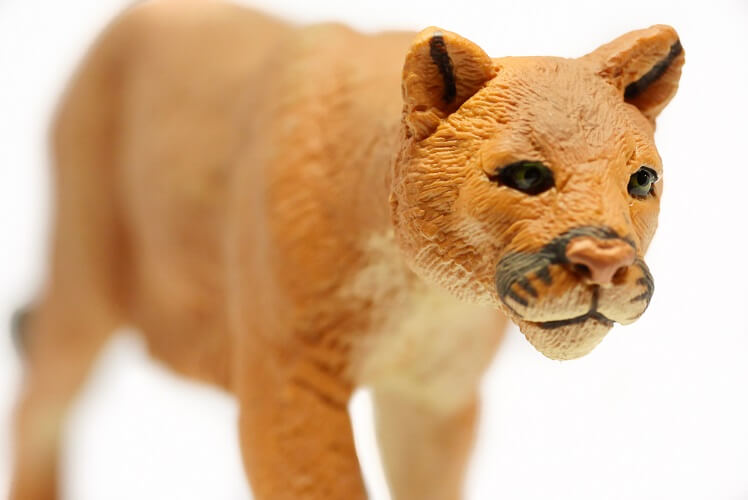 大型ネコ科の動物フィギュア特集 動物 恐竜フィギュアのzooo