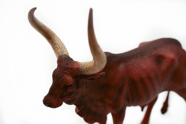 角のある動物特集 | 動物・恐竜フィギュアのZOOO!