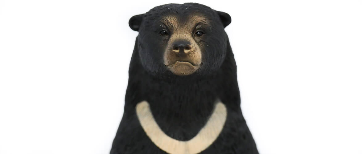 日本の絶滅危惧種のフィギュア特集 動物 恐竜フィギュアのzooo 日本の絶滅危惧種のフィギュア特集 動物 恐竜フィギュアのzooo